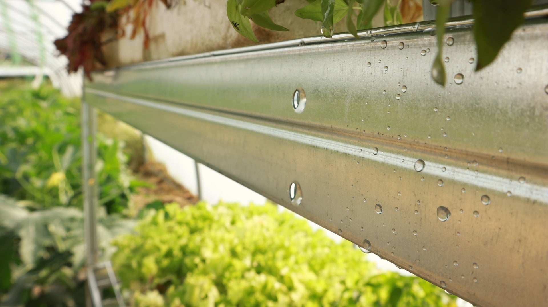 Reg&aacute;l na v&scaron;etko a pre v&scaron;etk&yacute;ch!