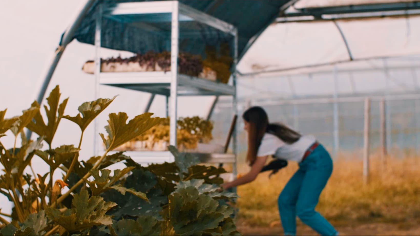 Reg&aacute;l na v&scaron;etko a pre v&scaron;etk&yacute;ch!